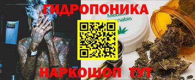 индика Ипатово