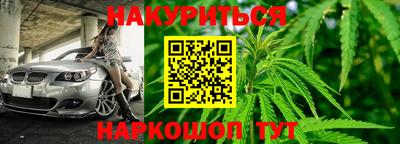 индика Ипатово