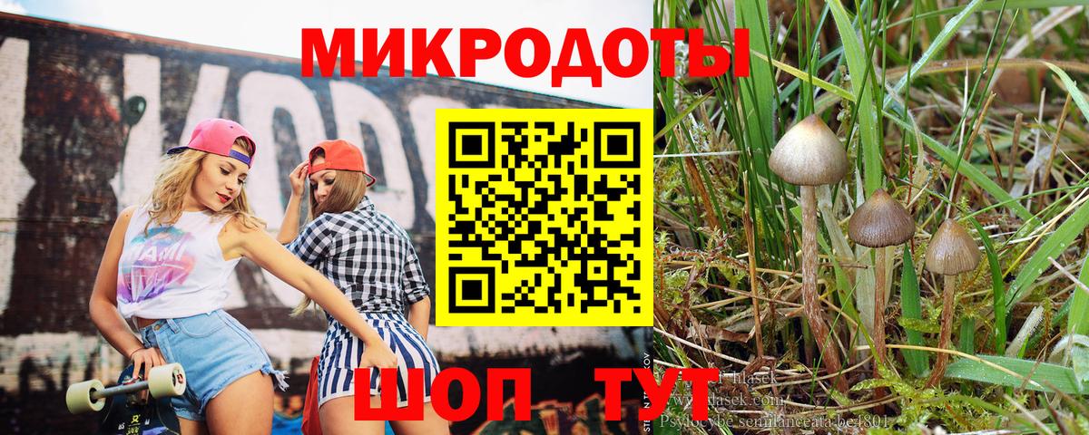 Псилоцибиновые грибы MAGIC MUSHROOMS Балашов